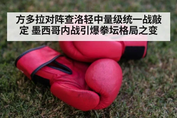 boxing gloves hands close up